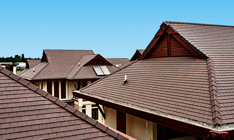 尊龙时凯·Z6(中国区)人生就是拼搏!