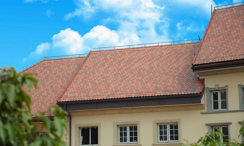 尊龙时凯·Z6(中国区)人生就是拼搏!