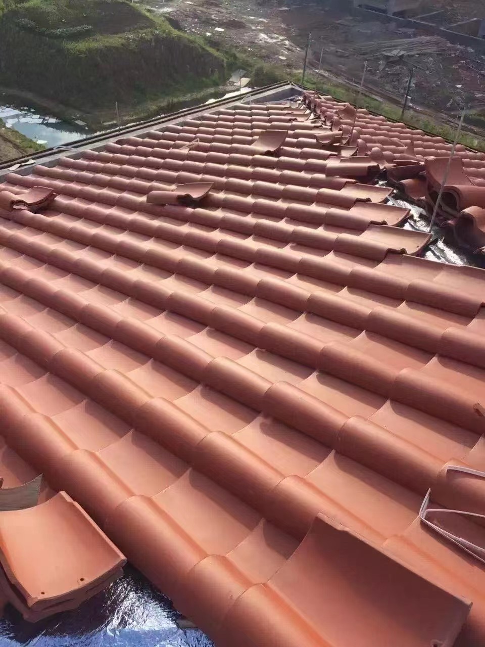 尊龙时凯摘要2023第17期