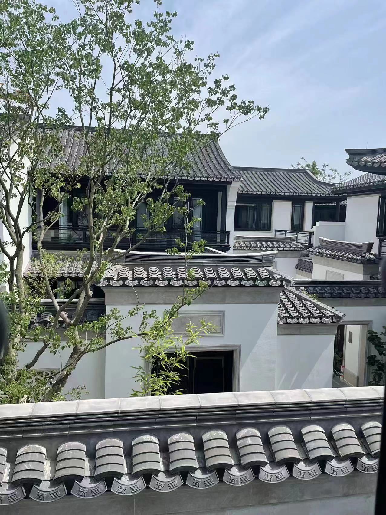 尊龙时凯摘要2023第27期