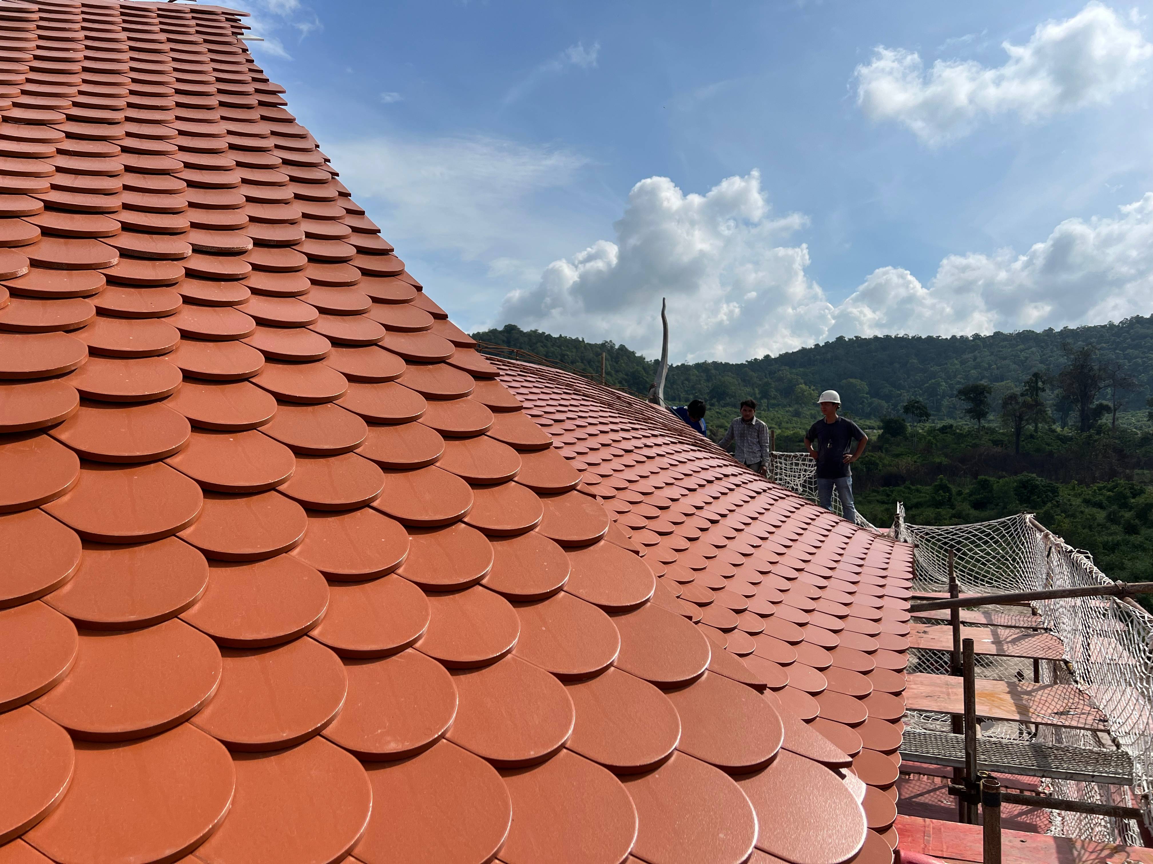 尊龙时凯摘要2024第22期